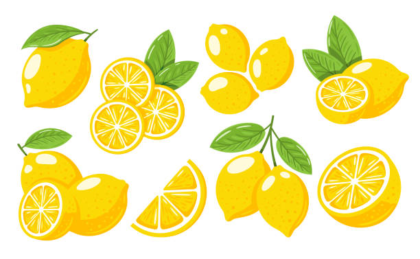 Yellow lemons isolated on white background Set of yellow lemons isolated on white background. Cartoon style. Vector illustration citric acid stock illustrations