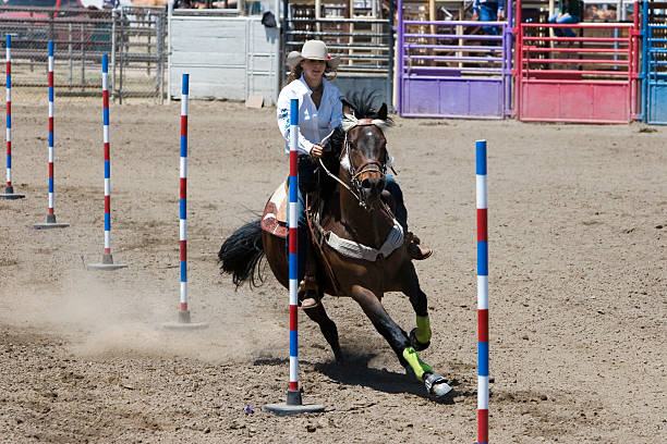 Galería de Rodeo vaca Chica polos la competencia de caballo - foto de stock