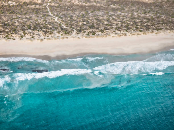 istock Aerial view of remote coastline 1479185679
