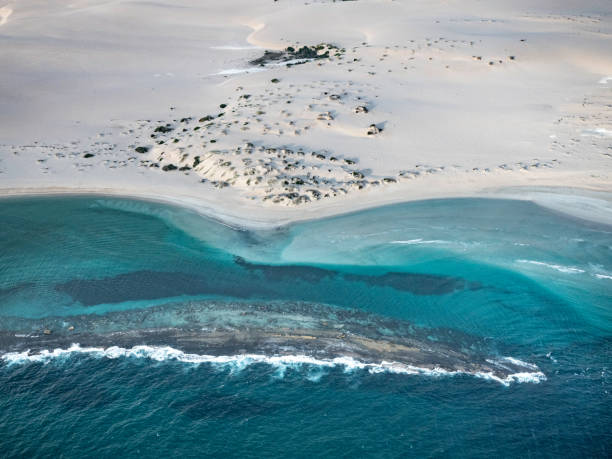 istock Aerial view of remote coastline 1479185753