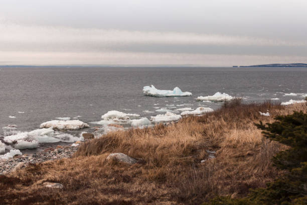 istock Iceberg in Conception Bay South, Newfoundland and Labrador, Canada 1479186378