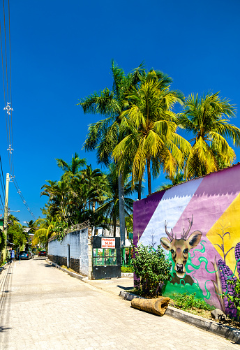 El Tunco, El Salvador - February 20, 2023: View of street art wall graffiti mural. El Tunco is a surf and beach town in southwestern El Salvador.