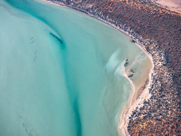 istock Aerial view of  remote coastline 1479186925