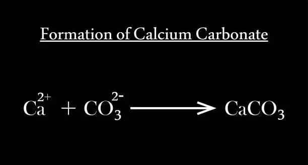 Vector illustration of Formation of calcium carbonate isolated on black background. Calcium carbonate equation.