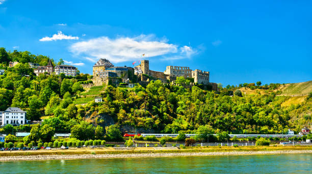 castillo de rheinfels sobre el río rin en sankt goar, alemania - rheinfels fotografías e imágenes de stock