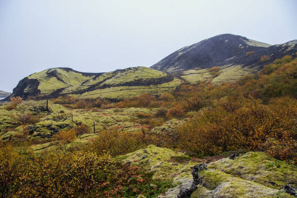 Grábrókargígar National Monument near Bifröst in the Western Region of Iceland stock photo