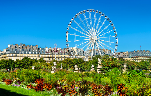 Ferris wheel at the Tuileries Garden in the center of Paris, France