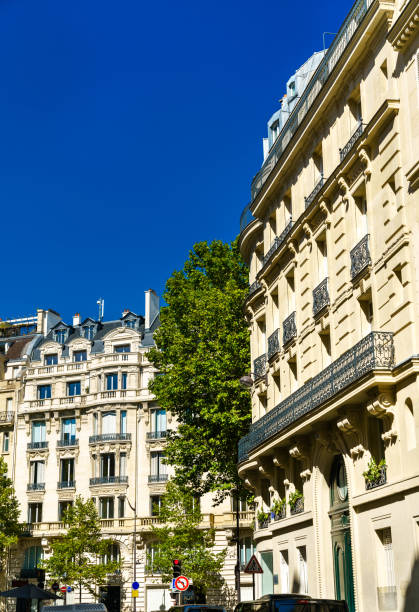 istock Typical architecture of Paris in France 1479199666