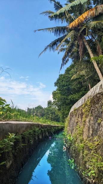 istock Clear water flows quietly in the irrigation canals 1479210267