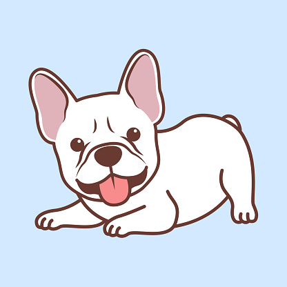 Cute french bulldog puppy white color lying down cartoon, vector illustration