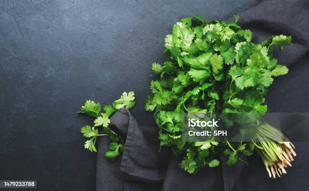 Fresh Cilantro Or Coriander Leaves In Bunch Black Kitchen Table Background Top View Stock Photo - Download Image Now