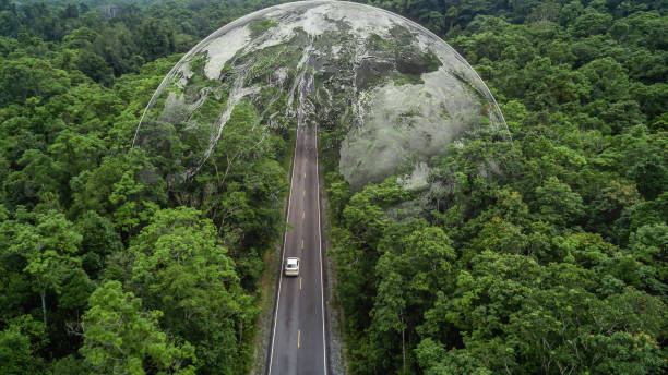 istock Electric vehicle car going through forest, EV electrical energy for environment, Nature power technology sustainable devlopment goals green energy, Ecosystem ecology healthy environment road trip 1479239915