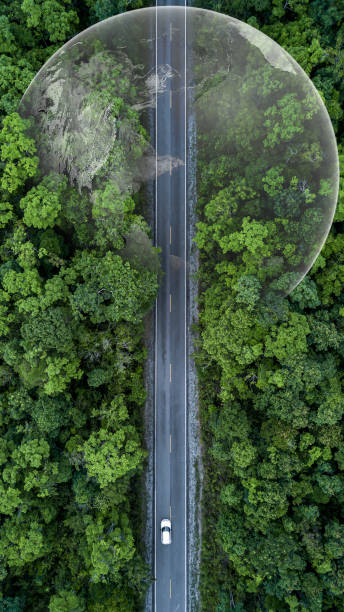 istock Electric vehicle car going through forest, EV electrical energy for environment, Nature power technology sustainable devlopment goals green energy, Ecosystem ecology healthy environment road trip. 1479239918