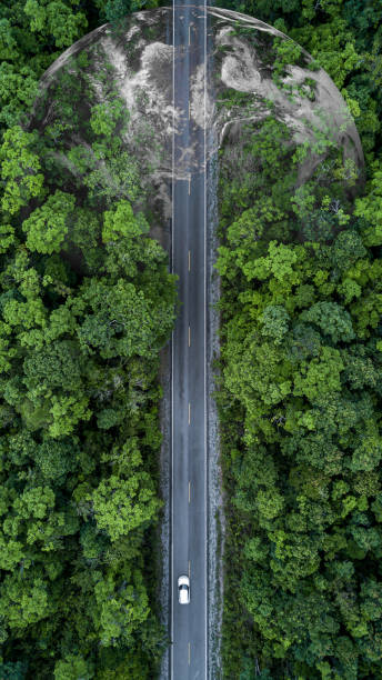 istock Electric vehicle car going through forest, EV electrical energy for environment, Nature power technology sustainable devlopment goals green energy, Ecosystem ecology healthy environment road trip. 1479239919