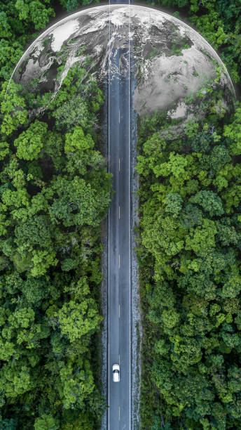 istock Electric vehicle car going through forest, EV electrical energy for environment, Nature power technology sustainable devlopment goals green energy, Ecosystem ecology healthy environment road trip. 1479240084