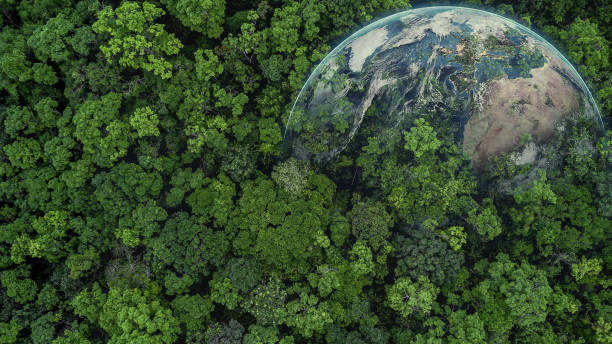 istock Aerial top view green forest with globe earth, Green planet in your hands, Save Earth, Texture of forest view from above ecosystem and healthy environment, Globe and forest. 1479240141