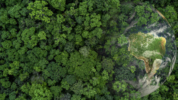 vista aerea dall'alto foresta verde con terra globo, pianeta verde nelle tue mani, salva terra, trama della vista della foresta dall'alto dell'ecosistema e ambiente sano, globo e foresta. - esg foto e immagini stock