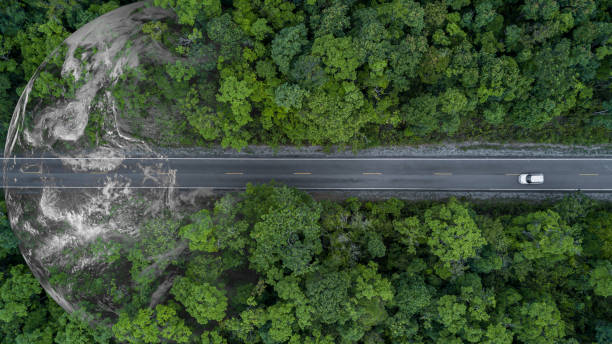 istock Electric vehicle car going through forest, EV electrical energy for environment, Nature power technology sustainable devlopment goals green energy, Ecosystem ecology healthy environment road trip 1479240165