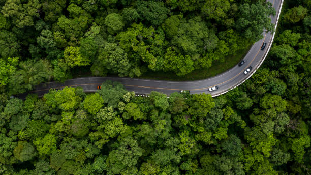 アスファルト道路に車がいる空撮の緑の森、森の木々の真ん中の道路を車が運転し、車で森を通る林道。 - car green nature landscape ストックフォトと画像