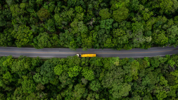 widok z lotu ptaka duży transporter towarowy półciężarówka na autostradzie drogowej, ciężarówka poruszająca się po asfaltowej drodze zielony las, naczepa towarowa poruszająca się po drodze. - truck semi truck car transporter vehicle trailer zdjęcia i obrazy z banku zdjęć