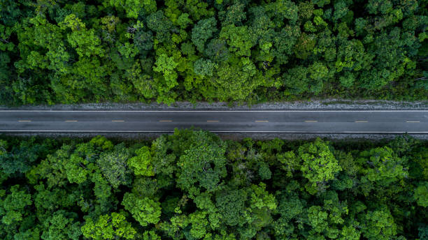 istock Electric vehicle car going through forest, EV electrical energy for environment, Nature power technology sustainable devlopment goals green energy, Ecosystem ecology healthy environment road trip 1479241306