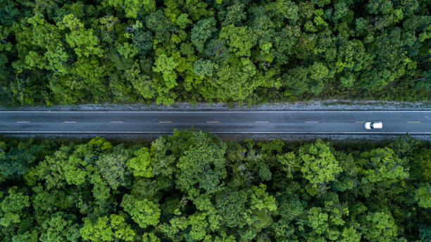 istock Electric vehicle car going through forest, EV electrical energy for environment, Nature power technology sustainable devlopment goals green energy, Ecosystem ecology healthy environment road trip 1479241315