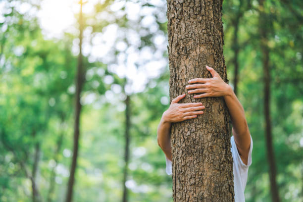 istock Human hand Hug and touching tree in the forest .people protect from deforestation and pollution or climate change Concept to love nature and tree . environment ecology and Earth Day concept 1479242034