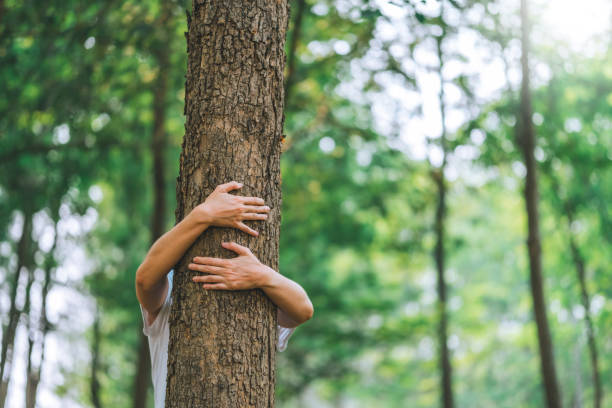 istock Human hand Hug and touching tree in the forest .people protect from deforestation and pollution or climate change Concept to love nature and tree . environment ecology and Earth Day concept 1479242036