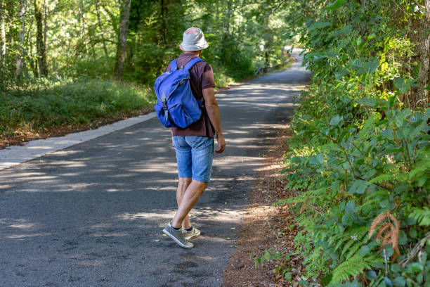 Free picture: hiking, hiker, man, sunny, forest, woodland, greenery ...