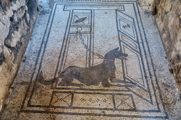 istock Pompeii city in Italy 1479244728