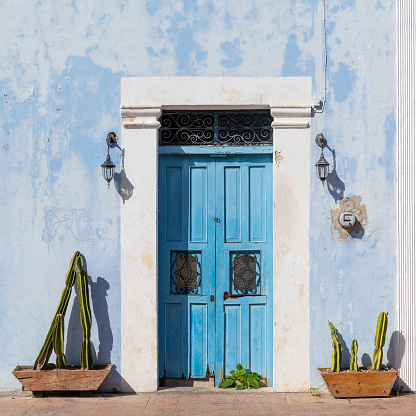 Blue colonial facade with door and cactus, Campeche city, Campeche state, Mexico.