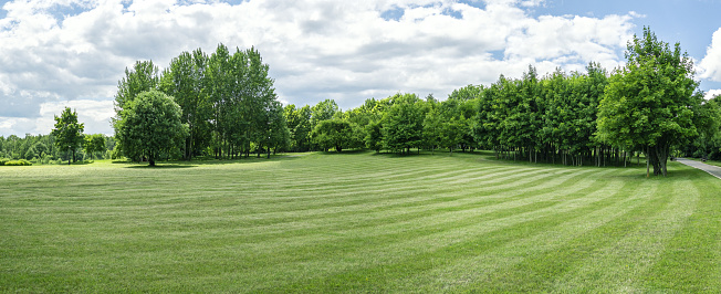 beautiful scenery of public park with green grass field and green trees. summer panoramic view.