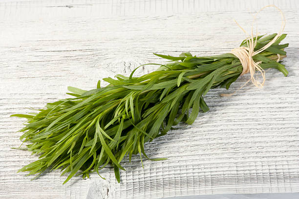 estragão cacho - tarragon close up herb bunch imagens e fotografias de stock