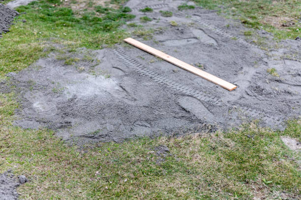 istock Using a sand to level the lawn at home 1479259162