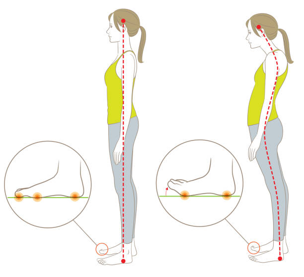 올바른 무게 중심 자세와 발가락 부동 자세를 가진 여성 - good posture stock illustrations