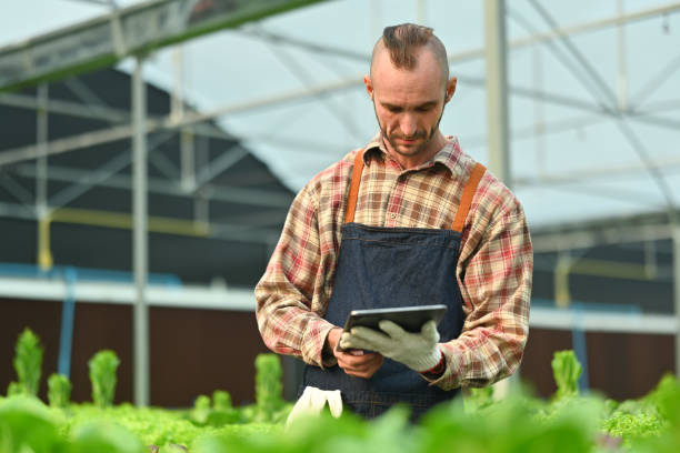 istock Farmer analyzing farming data on digital tablet at hydroponic greenhouse. Innovation technology for smart farm system concept. 1479266614