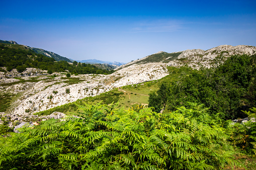 Mountain landscape in Covadonga, Picos de Europa, Asturias, Spain