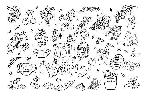 Set berries summer doodle. Vector illustration. Berry, leaves, baskets, smoothies, healthy food. Hand drawn illustration for sticker pack, cover, postcards, print, social media, icon, scrapbooking.