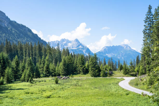 beautiful alpine landscape - wetterstein mountains bavaria mountain forest imagens e fotografias de stock