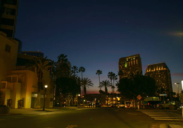 Beautiful glowing sunset in San Diego with palm trees and ocean