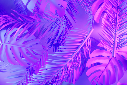 Tropical palm leaves in pink and purple colors neon lighting summer background, 3d render.