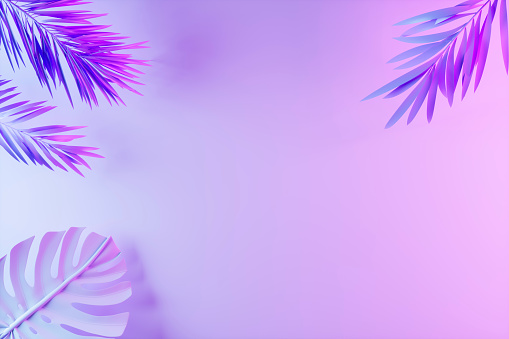 Tropical palm leaves in pink and purple colors neon lighting summer background, 3d render.