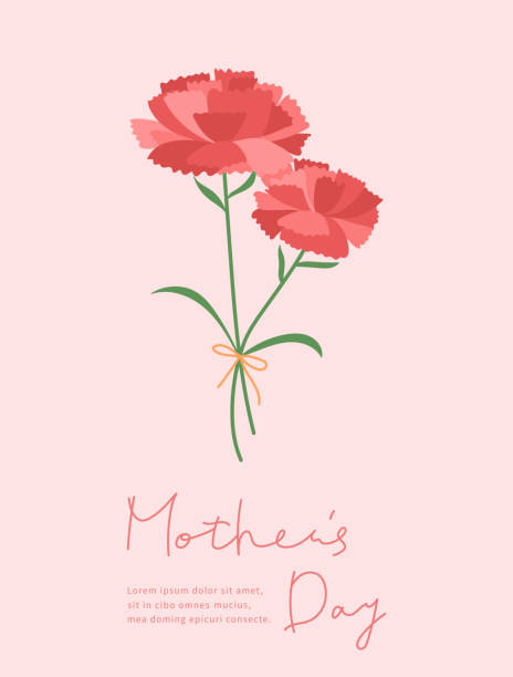 ilustrações, clipart, desenhos animados e ícones de cartaz de dia das mães com cravo. - mother family vertical flower
