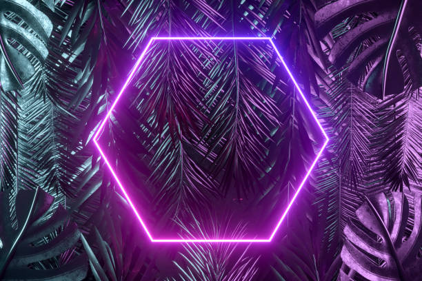 istock Tropical palm tree and monstera leaves with neon lightning frame, abstract background 1479282739