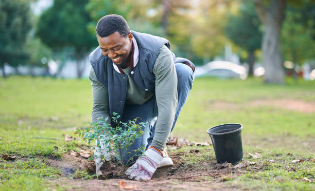 il servizio alla comunità, il volontariato e l'uomo nero piantano alberi nel parco, nel giardino e nella natura per la sostenibilità. cambiamenti climatici, orticoltura e agricoltura per la giornata della terra, sostegno alla crescita ed ecologia verde - ecologista foto e immagini stock