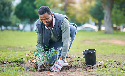 Community service, volunteering and black man plant trees in park, garden and nature for sustainability. Climate change, soil gardening and agriculture for earth day, growth support and green ecology