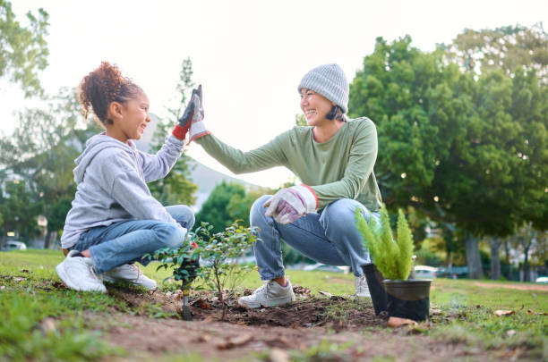 high five, child and woman with plant for gardening, ecology and agriculture in a park with trees. volunteer family celebrate growth, nature and sustainability for community environment on earth day - earth globe mother child imagens e fotografias de stock