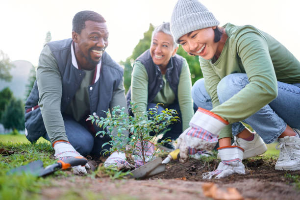 gartenarbeit, gemeinnützige arbeit und menschen, die sich ehrenamtlich in park, garten und natur für nachhaltigkeit engagieren. klimawandel, glückliches team und baumpflanzen im sand für earth day projekt, wachstum und grüne ökologie - pflanzen stock-fotos und bilder