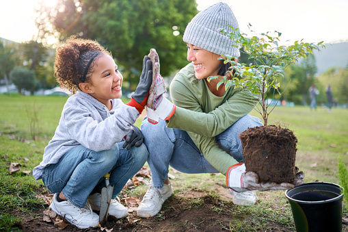 Child, woman and high five for plant gardening at park with trees in nature environment, agriculture or garden. Happy volunteer family celebrate planting for ecology and sustainability on Earth day