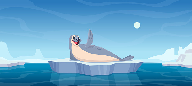 Sea polar animal. Cartoon background with nord pole wild live seal animal exact vector template of sea polar animal, arctic and north wildlife illustration